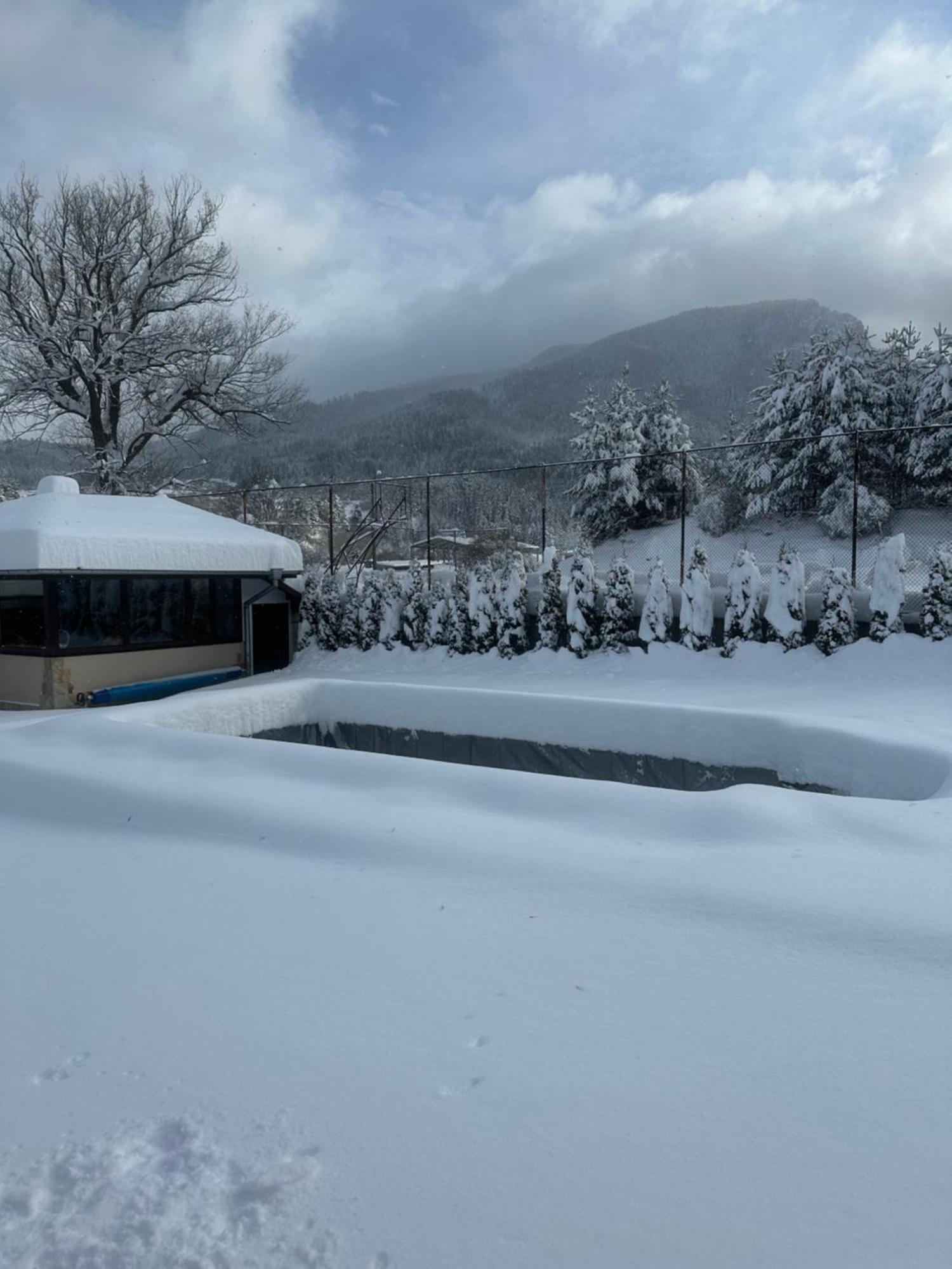 Villa Paradise Beli Iskăr Exterior foto