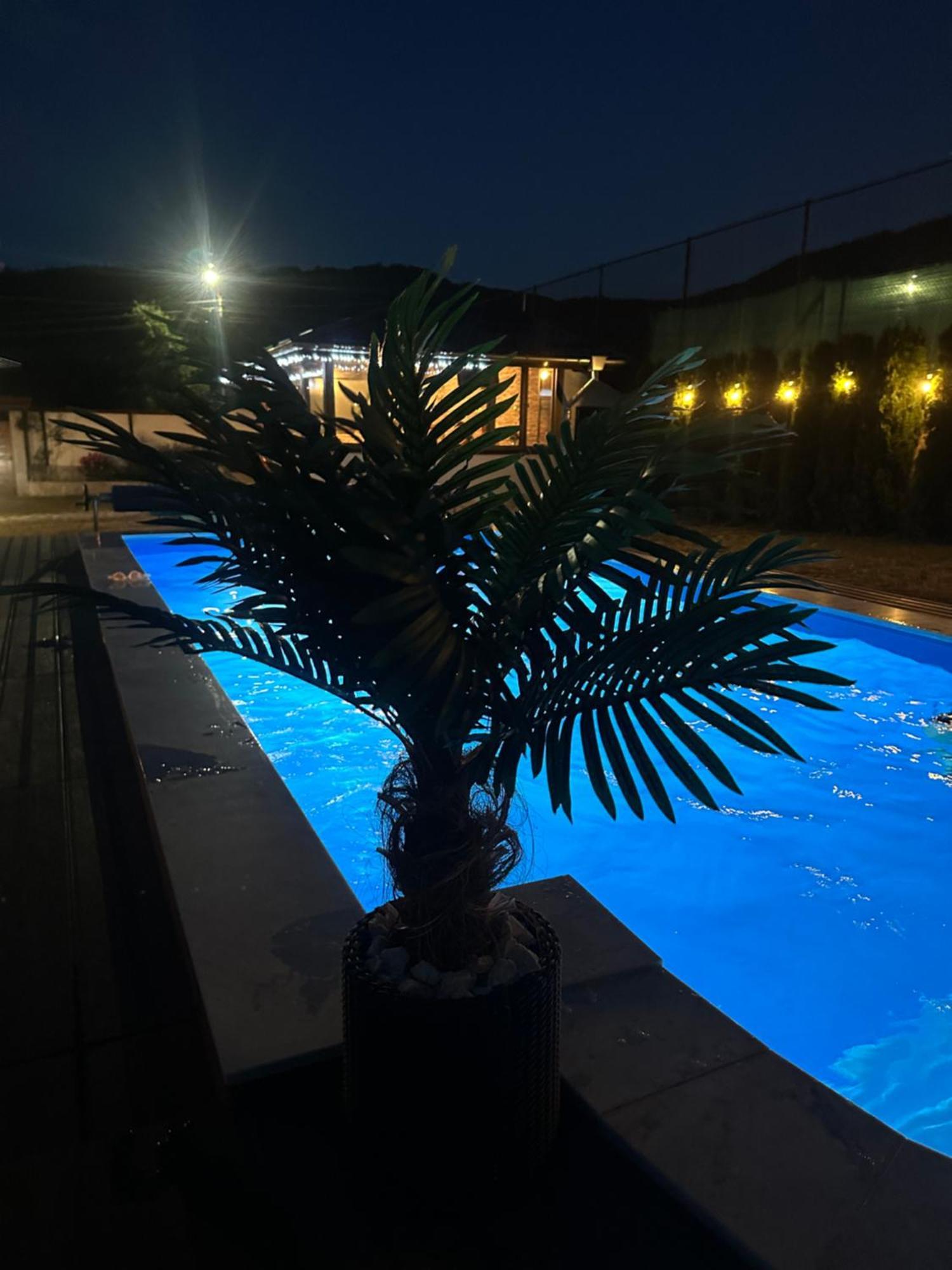 Villa Paradise Beli Iskăr Exterior foto