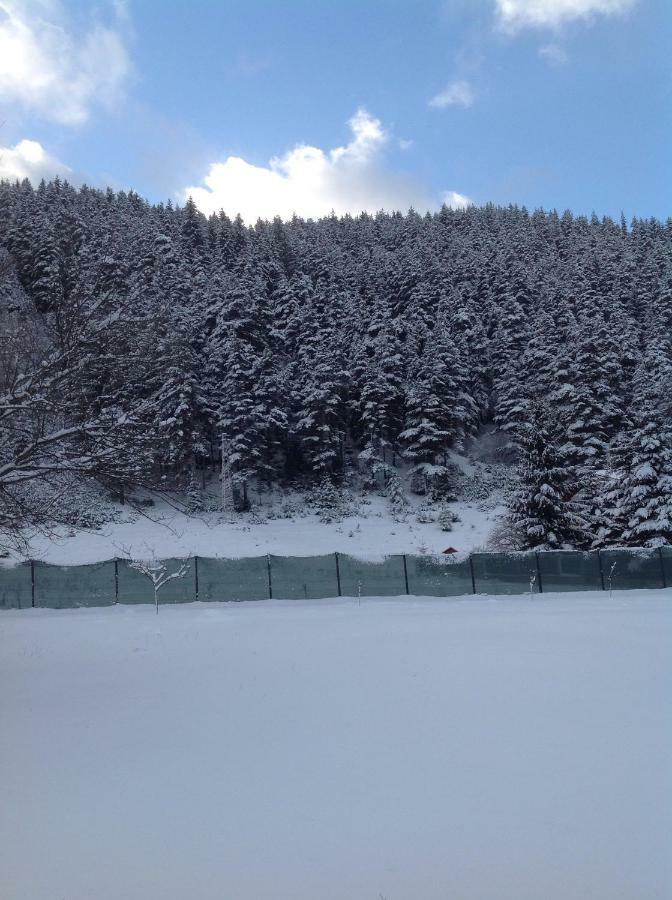 Villa Paradise Beli Iskăr Exterior foto