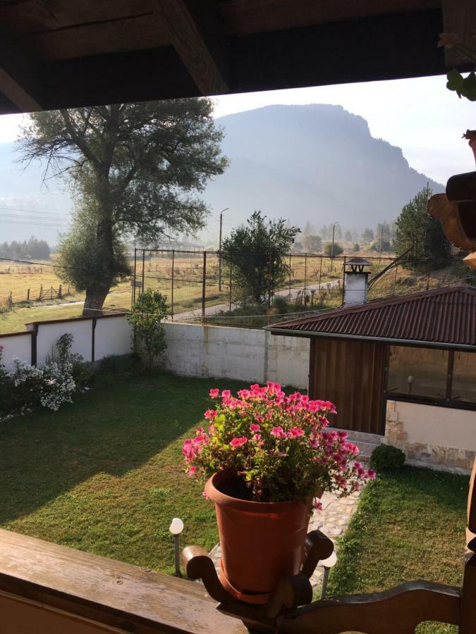 Villa Paradise Beli Iskăr Exterior foto